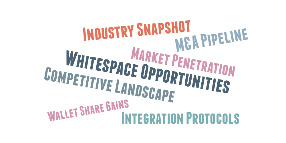 Word cloud showing phrases: Industry Snapshot, M&A Pipeline, Market Penetration, Whitespace Opportunities, Competitive Landscape, Wallet Share Gains, Integration Protocols