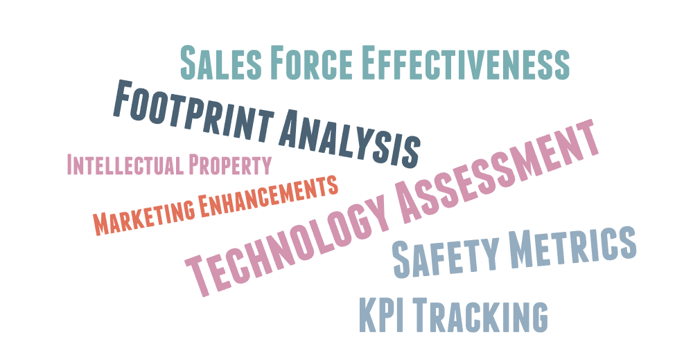 Word cloud showing phrases: Sales Force Effectiveness, Footprint Analysis, Intellectual Property, Marketing Enhancements, Technology Assessment, Safety Metrics, KPI Tracking